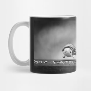 Nuthatch in midair Mug